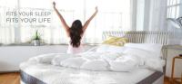 TipTop Mattress Cleaning Brisbane image 1